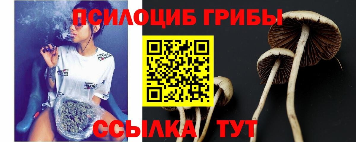 Галлюциногенные грибы Psilocybine cubensis  Вход с VPN  Псилоцибиновые грибы Cubensis  Стрежевой 